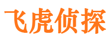 道县市调查公司